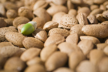 Almendras y bellota 2