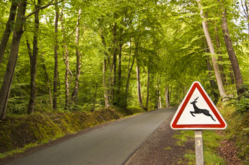 Panneau signalant le passage d'animaux en forêt