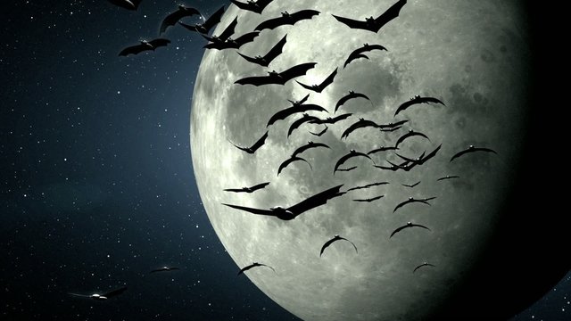 Halloween,  a flight of bat with the  moon on background