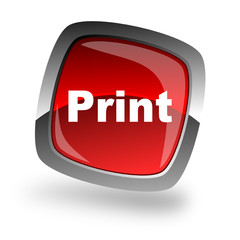 print icon