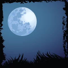 Photo sur Plexiglas Anti-reflet Pleine Lune arbre fond de nuit d& 39 halloween