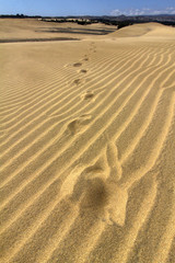 Desert