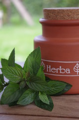 Miętowa herbata © bnorbert3