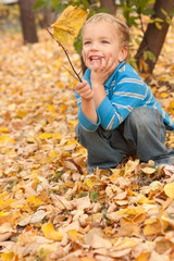 Little boy sitting on yellow autumn foliage.