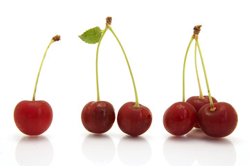 different cherries isolated