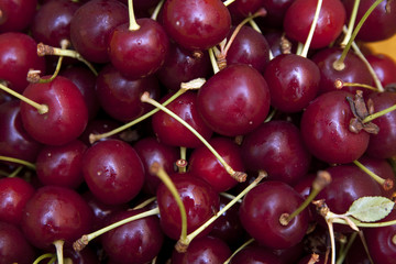 cherry background