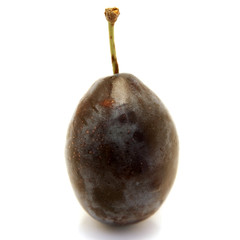 plum isolated
