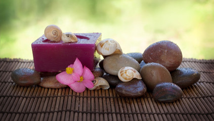 Spa setting with stones and shells