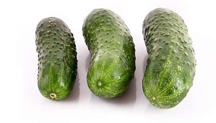 Cucumber isolated on white