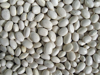 beans