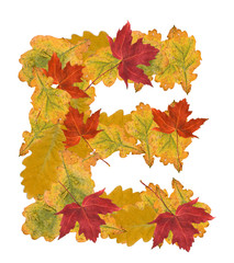 autumn leaves letter
