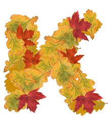 autumn leaves letter
