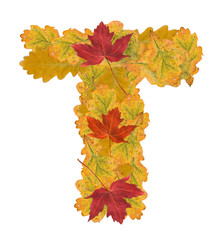 autumn leaves letter