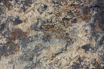 Gray-blue background