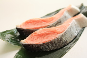 Japanese ingredient, freshness salmon