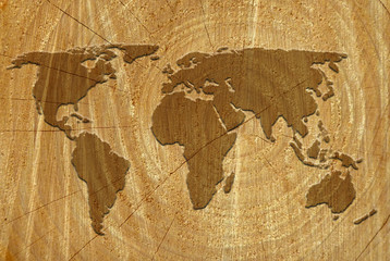 World map on wood surface