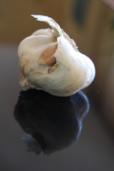 garlic
