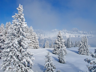 Winter in the alps