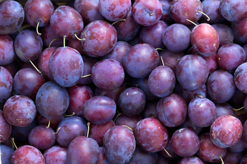 Fruit   plums  blue
