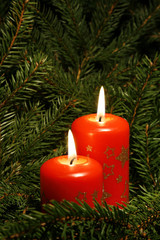 Two candles burning amongst twigs of the spruce