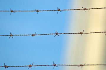 Stachelige Angelegenheit