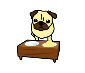 パグ　犬　ごはんの時間