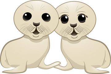 Seal pups