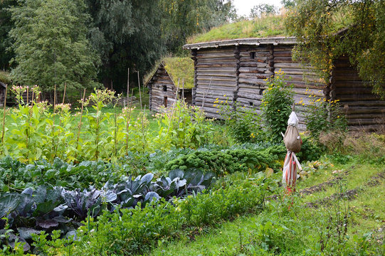 Orto spaventapasseri - edificio tipico scandinavia