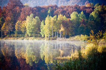 Beautiful forest lake in the autumn