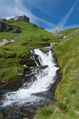 ruscello alpino - small alpine creek