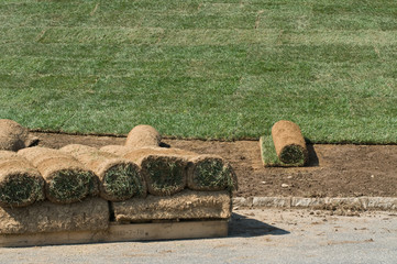 sod grass on a pallet