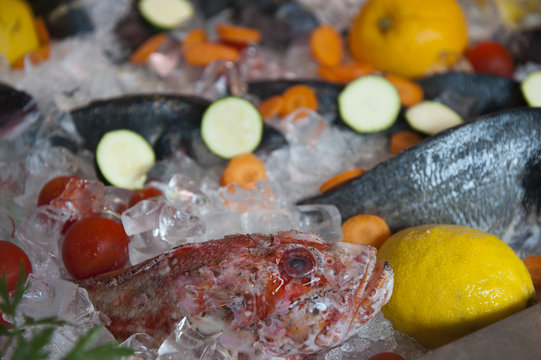 Fische3