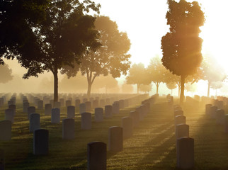 Cemetery in the Fog