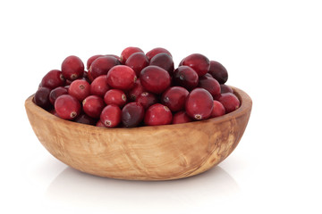 Cranberry Fruit