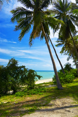 Obraz premium tropical beach