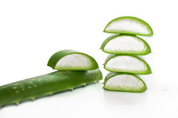 leaf of aloe
