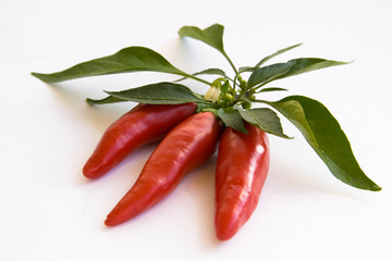 Red pepper isolated on  white