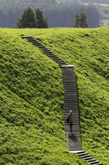 stairway on the hill