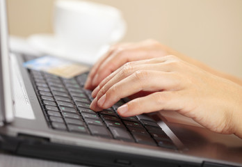 Woman's hands and laptop