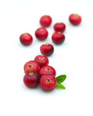 Cranberry with a leaf