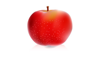 vector illustration of apple isolated on white background