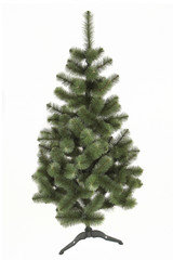 christmas pine tree isolated on white background
