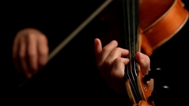 Musician playing violin isolated on black