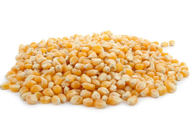 grains de maïs