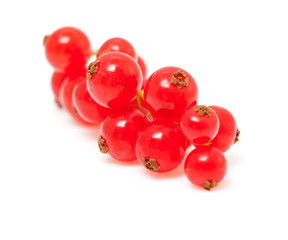 berries of red currant over white background