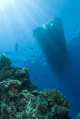 Fototapeta premium Boat silhouette with sunrays and scuba diver.