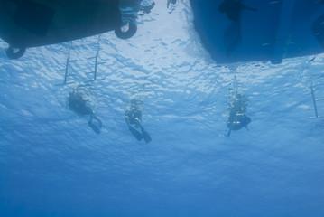 Underwater view of three scuba diver silhouettes at the back of © caan2gobelow