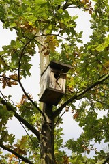 birds' brood shack