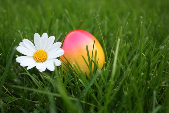 buntes ei mit bl&uuml;mchen