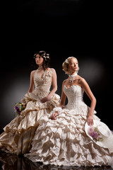 Fototapeta na wymiar Two Young Brides